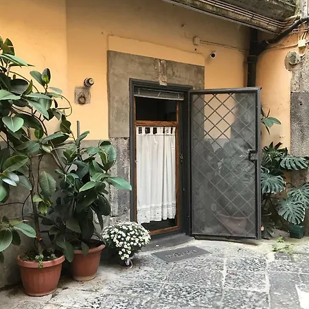 Apartamento The *